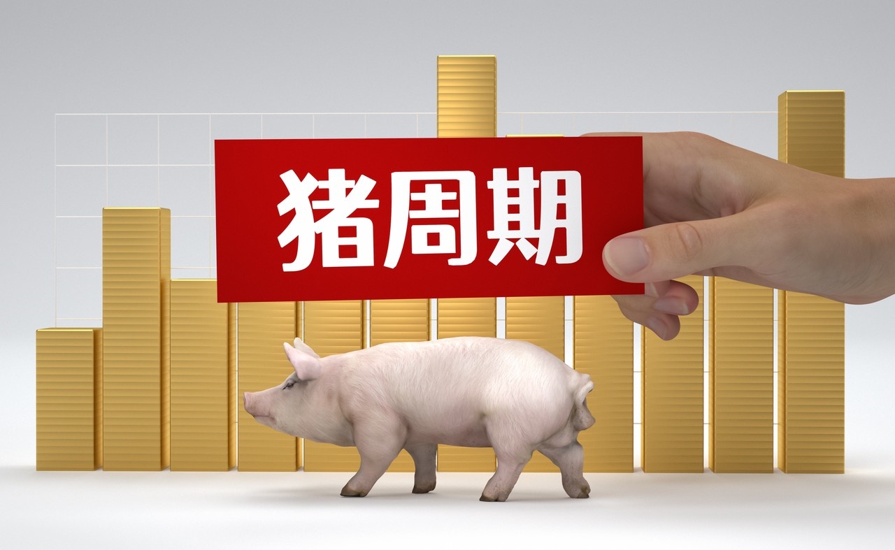 猪企团体进入“挣钱形式”