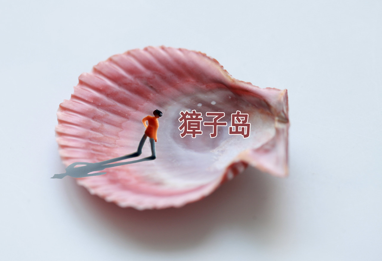 獐子岛，扇贝没跑也不可
