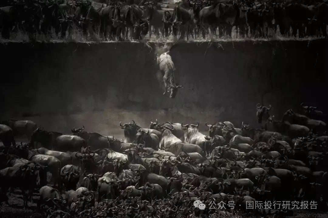 股价跌去80%！隆基绿能，要变天了？