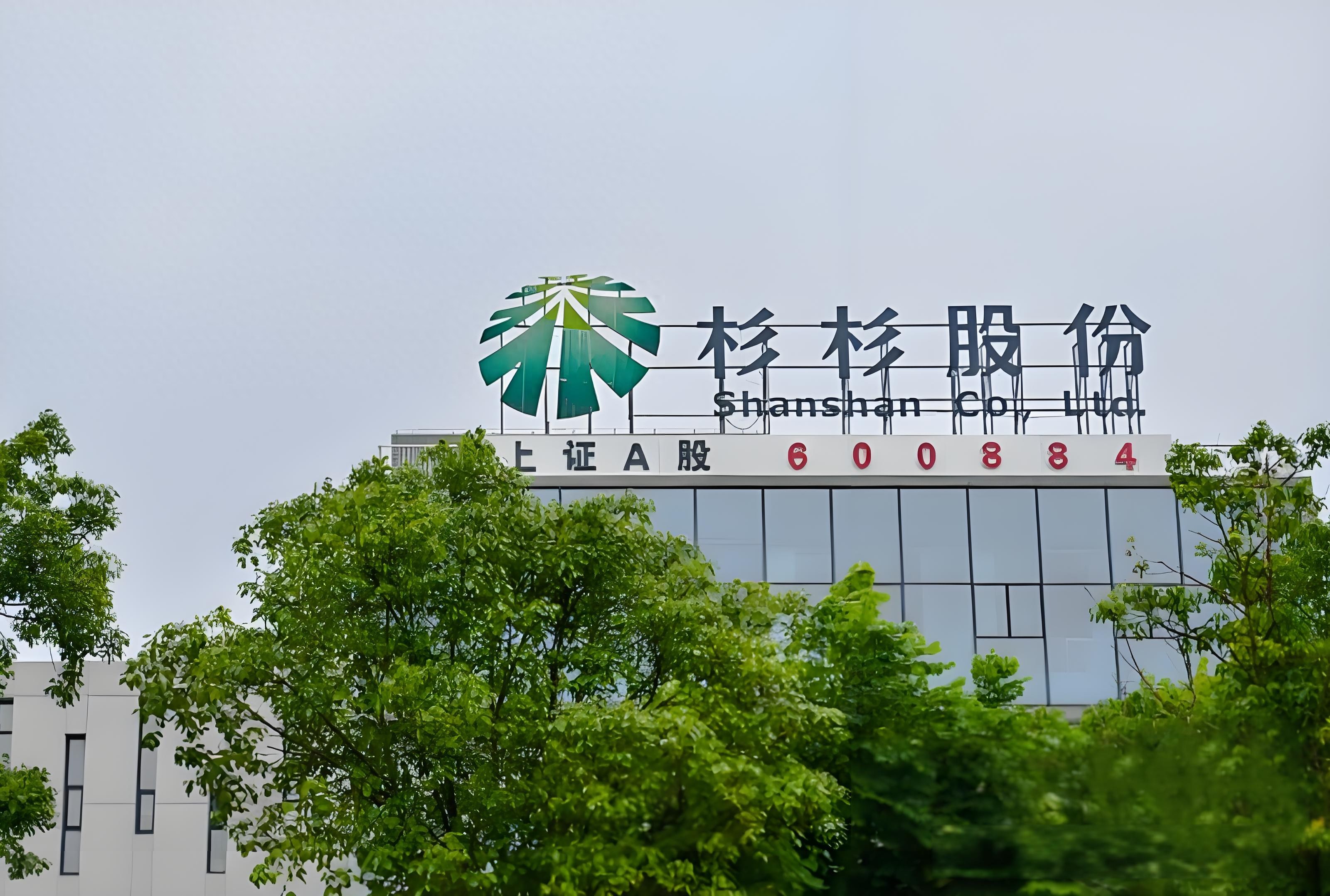 股权清零，杉杉长子输给继母？豪门内斗背面的商业“迷局”