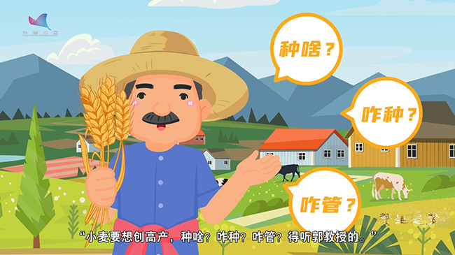 郭天财：四十六年如一日 为小麦高产“问诊评脉”