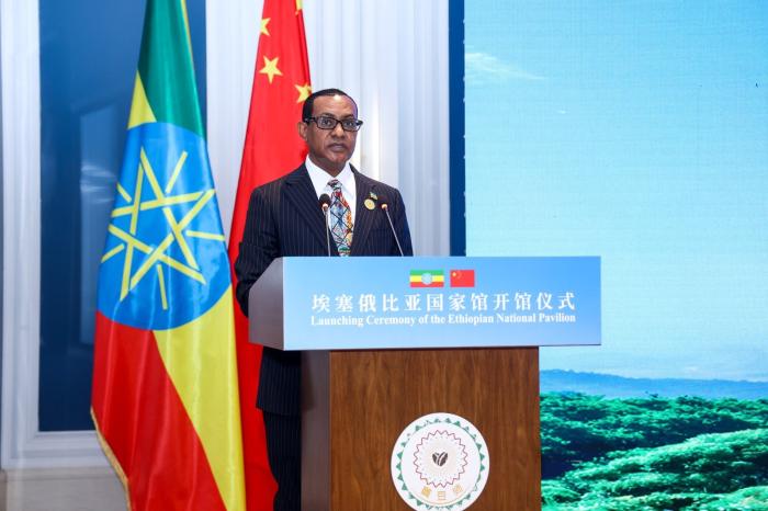 埃塞俄比亚大使点赞我国零关税方针：为埃塞带来宽广机会丨世界观