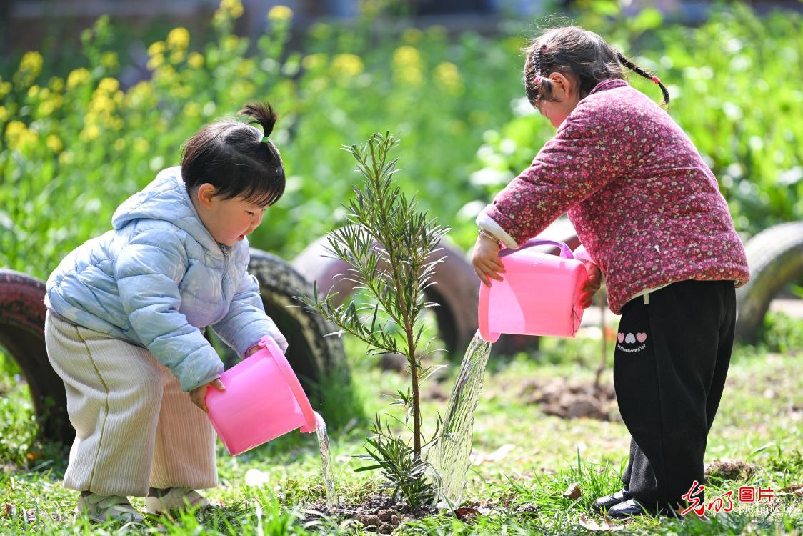 栽树添绿 全民共筑生态梦