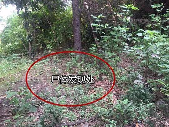 中西音乐元素磕碰 华晨宇演唱会演出“华山论剑”