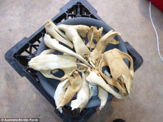 新华时评·锲而不舍执行中心八项规则精力丨立查立改、即知即改