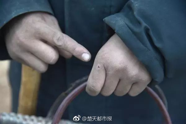 烟台：激活“熟睡”水塘水库 打造城市生态耐性新标杆