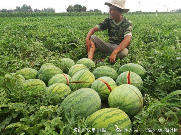 【黑料不打烊 吃瓜曝光】【研报掘金】组织：方针组合拳推进银行板块估值修正