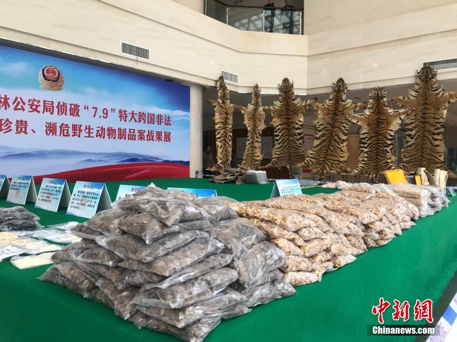 影石全景相机热销美国