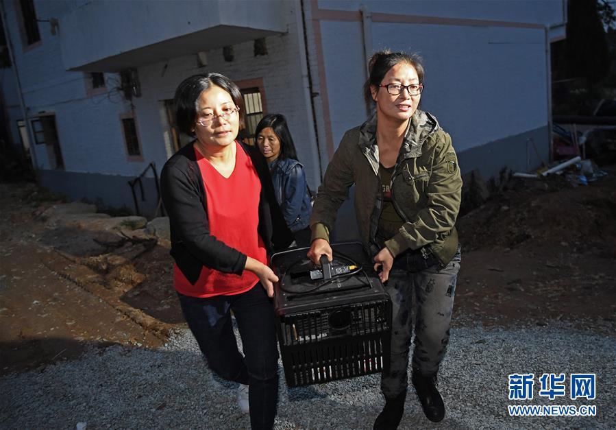 【黑料 正能量】电力板块成绩亮眼 海则滩项目加快推动 永泰动力2024年经营收入283.57亿元