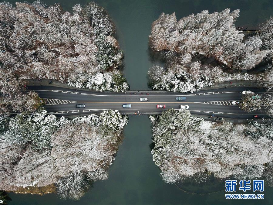 零跑轿车朱江明：零跑将进入欧洲、中东非等海外商场