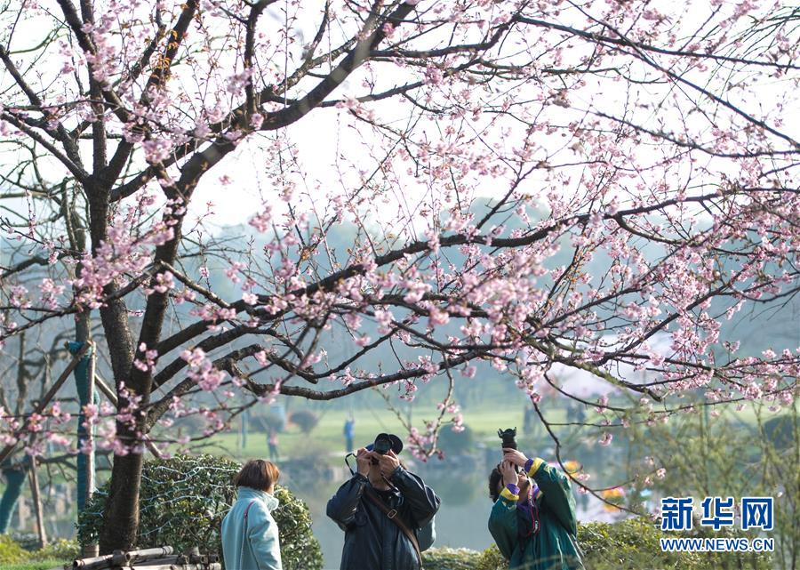 美年健康集团首家减重代谢中心落地深圳