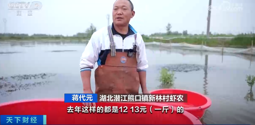 太火爆！你爱吃的它，抢“鲜”上市了！有人日入2万元→