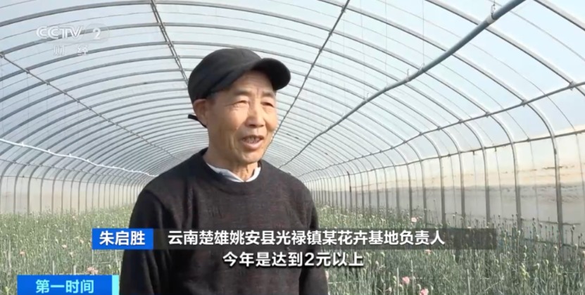 火爆！价格翻倍 销量大涨！真“香”→