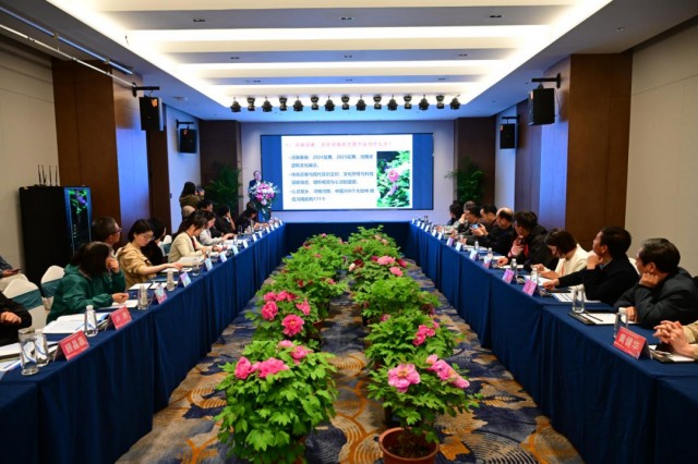 国家级河洛文明生态维护试验区2025牡丹文明交流活动举办