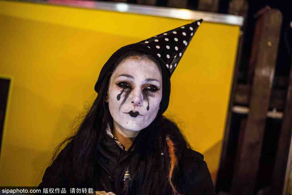 4月8日起铁路部门试点高铁宠物邮寄服务 铁路12306同步推出“宠物邮寄”功用