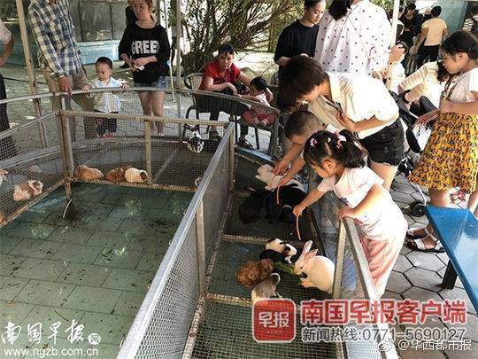 【吃瓜网】甘肃省天祝县：推行肉羊新品种促农增收