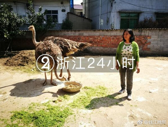 【黑料网最新回家线路】教育部施行工作才能提高“双千”方案