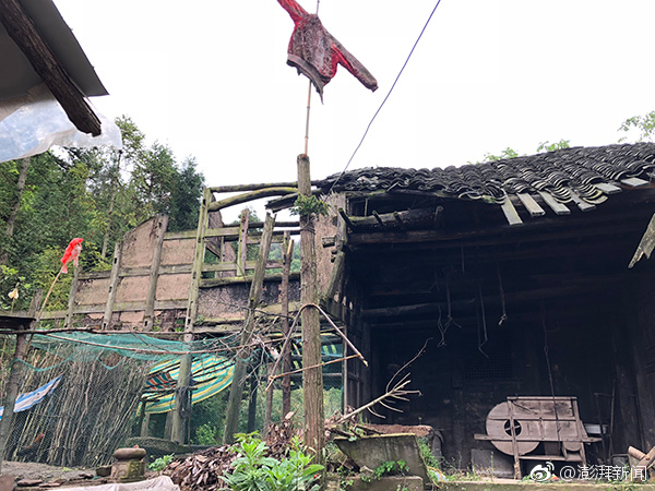苏丹外交部：苏丹西部一城市约300名布衣遭杀戮
