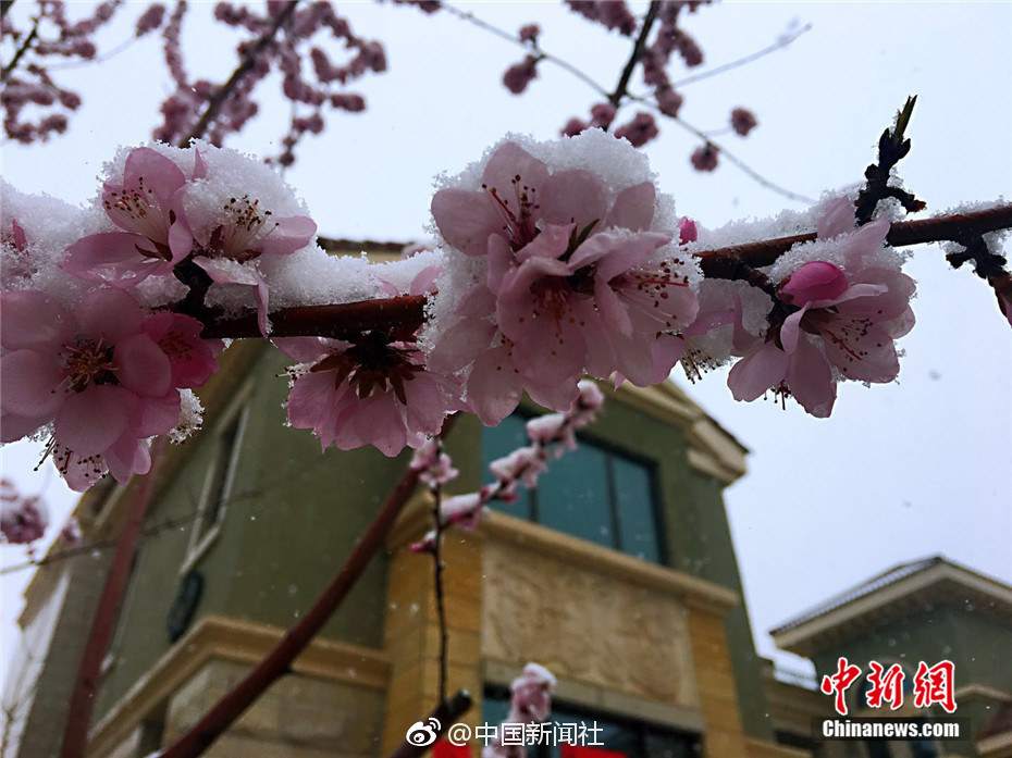 俄罗斯一购物中心遭轰击 逝世人数升至4人