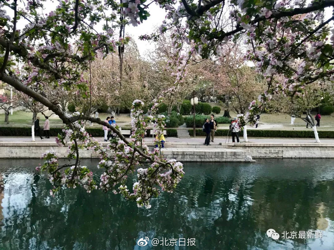 格力电器发布2024年年报：归母净利润同比增加10.91%，创前史新高