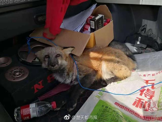 【黑料166. su不打烊】京津冀协同开展新十年 天津迎来哪些经济开展新机遇