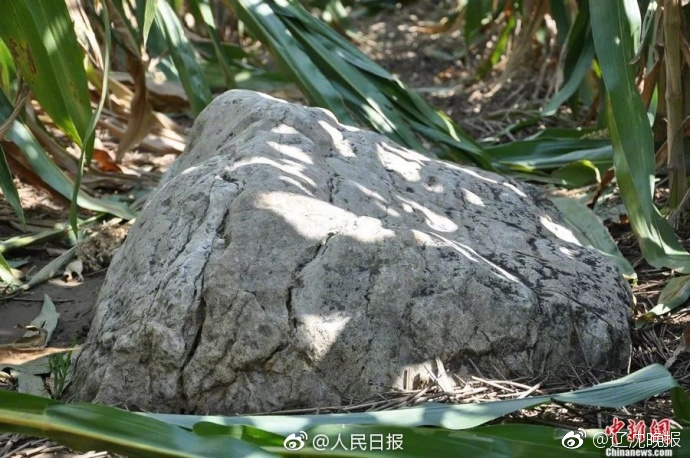 【51吃瓜网app】泽连斯基：乌军仍在库尔斯克作战