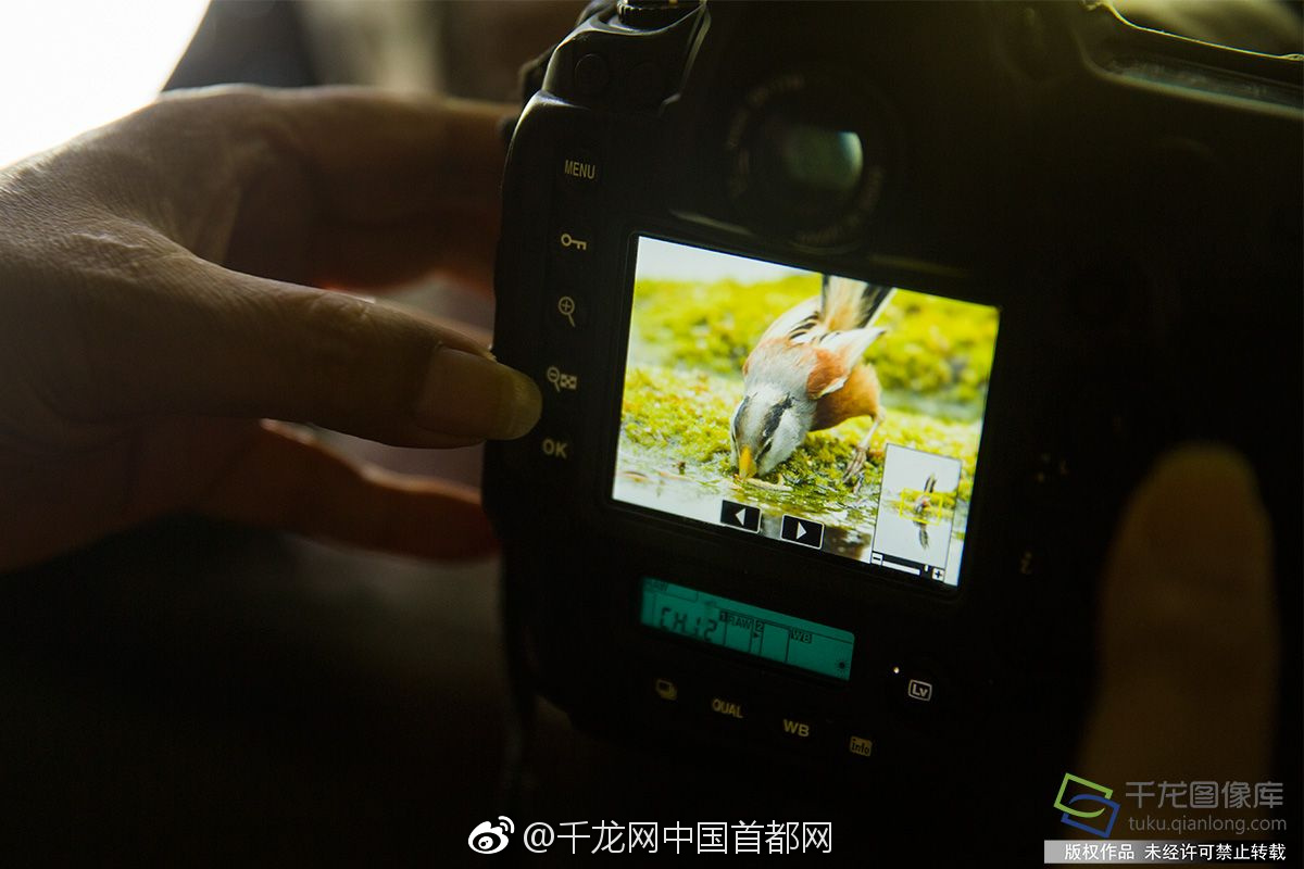【黑瓜网每日大赛最新一期免费观看】全球首例量子羁绊涡旋光发射芯片研制成功