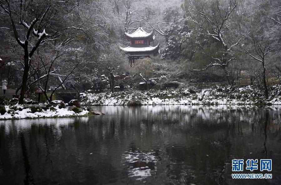 成都：问花村梅花怒放如霞