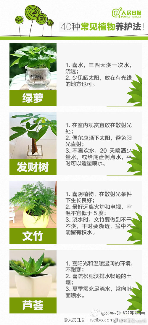 白云机场T3航站楼全球招商
