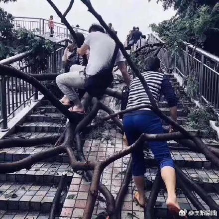 【黑料不打烊导航最新地址app】煌上煌逆势包围：2025年一季报净利润同比大增36%