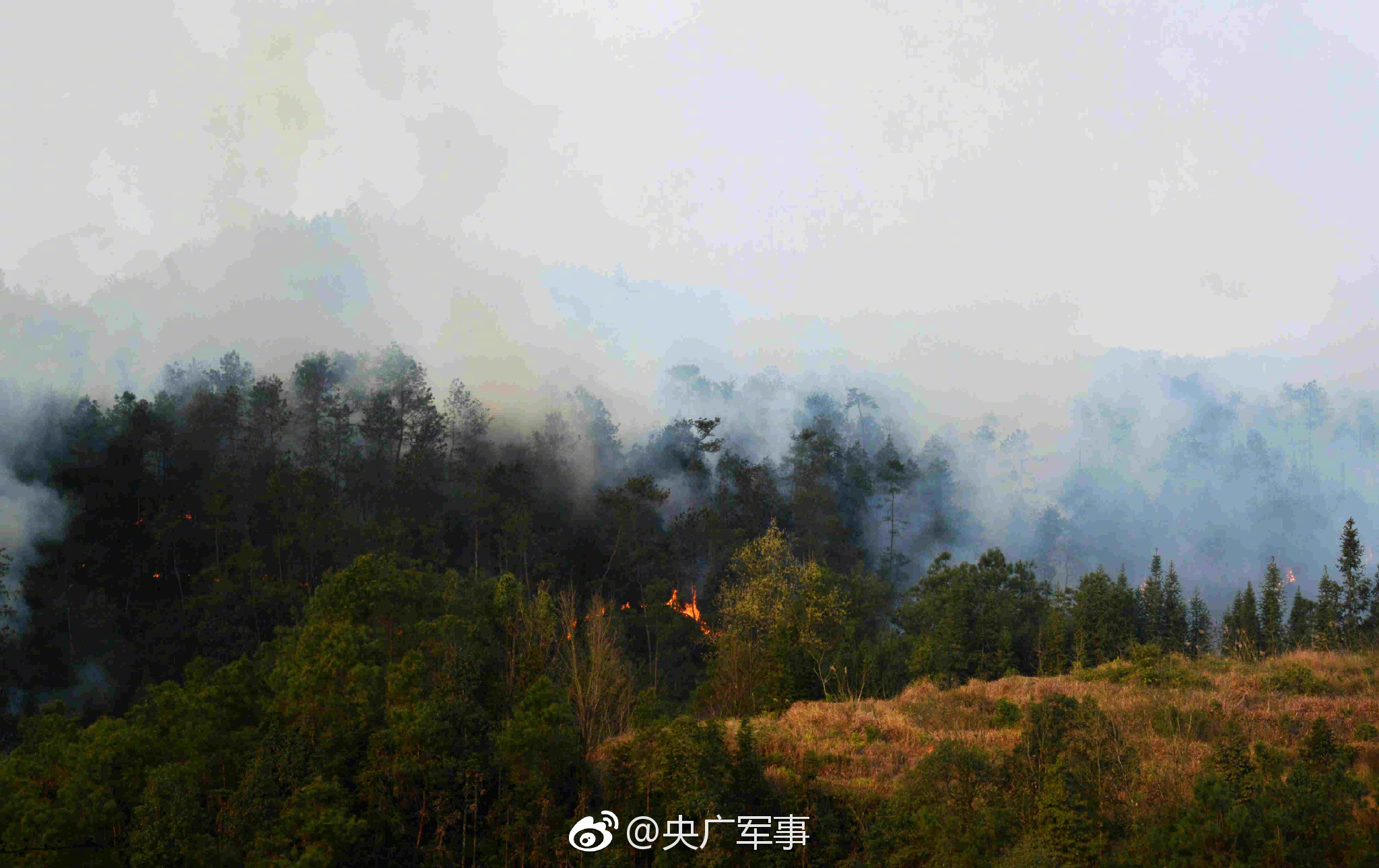 【黑科社首页】【澳】鲍韶山（Warwick Powell）：我国引领推进全球管理革新和建造