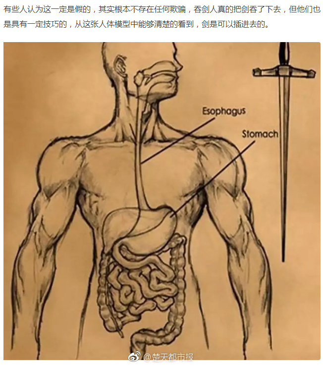 【海角吃瓜】烟台：激活“熟睡”水塘水库 打造城市生态耐性新标杆