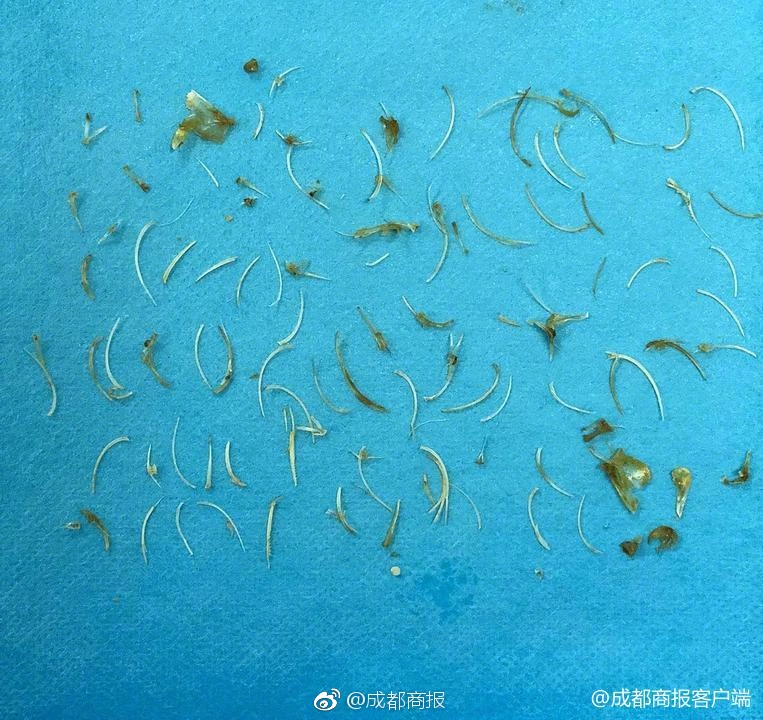 【51吃瓜网最新官网地址更新内容】深化三大央企看立异 人工智能重塑工业基因