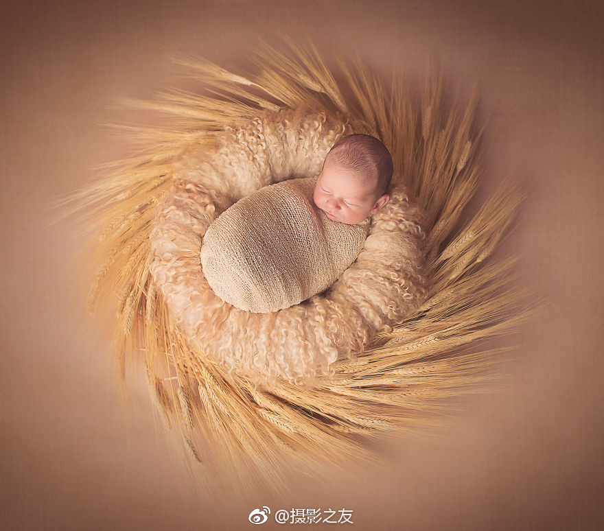 方苞“义法”的多重内蕴