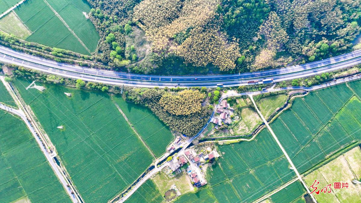 Highway weaves through countryside in E China's Anhui