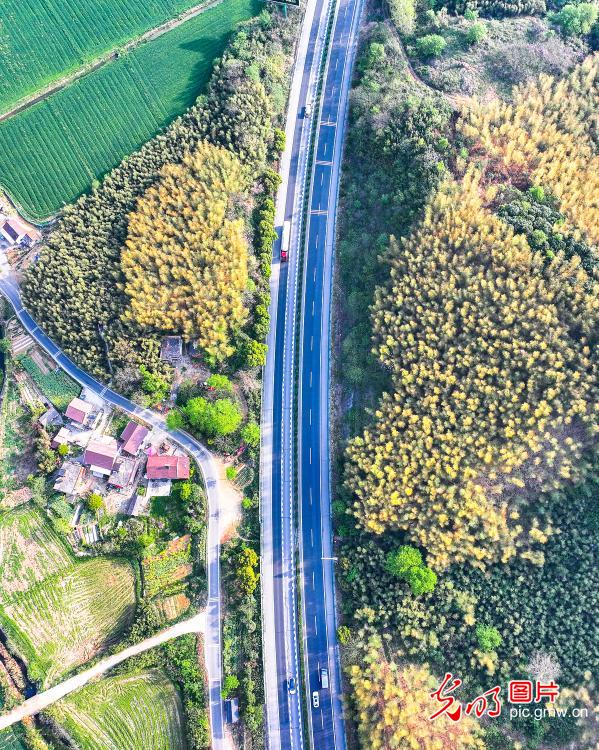 Highway weaves through countryside in E China's Anhui