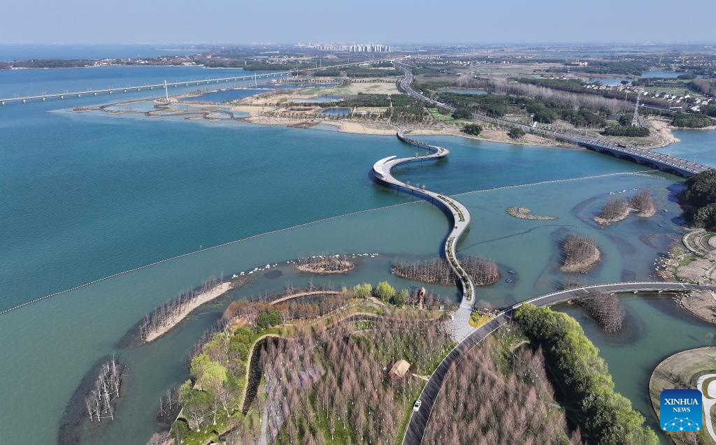 Yangtze River Delta witnesses progress in green, integrated ecological development