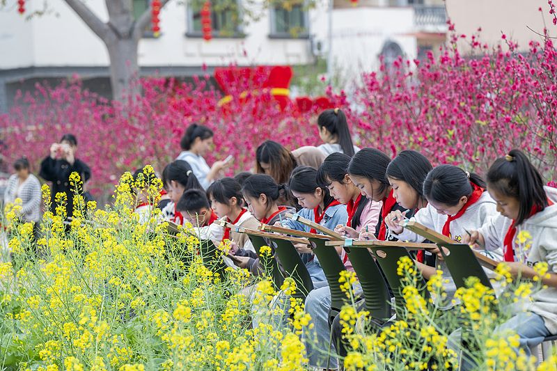 广西苍梧：学生花间写生绘春色