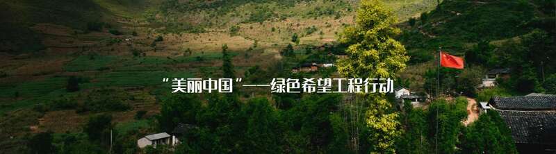 ​陕西：绿色希望工程将为沿黄流域再添新绿2715亩