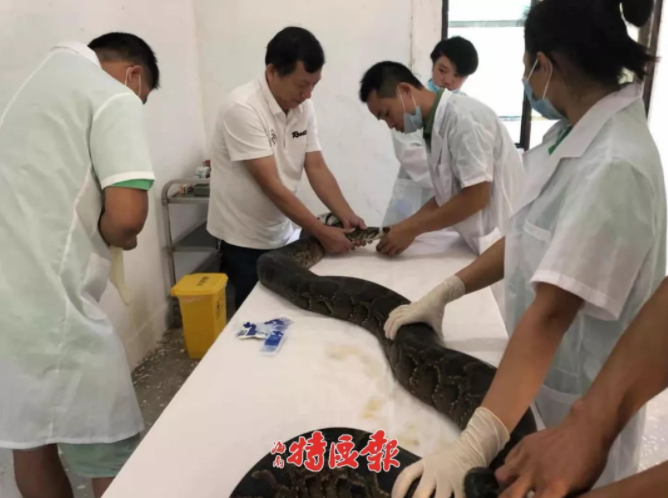 4.2美元“尝鲜”！特斯拉Robotaxi发动试点 马斯克猜测未来公司毛利最高可达80%
