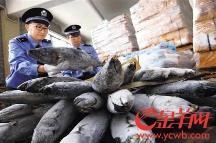 石狮林銮渡新式公共文明空间当选泉州第一批市级村庄文旅交融开展示范点
