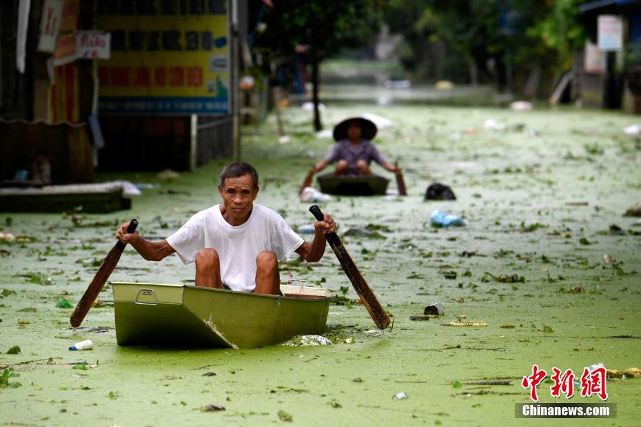 【黑料网av免费看导航】阳澄湖大闸蟹蒸多久最佳时间