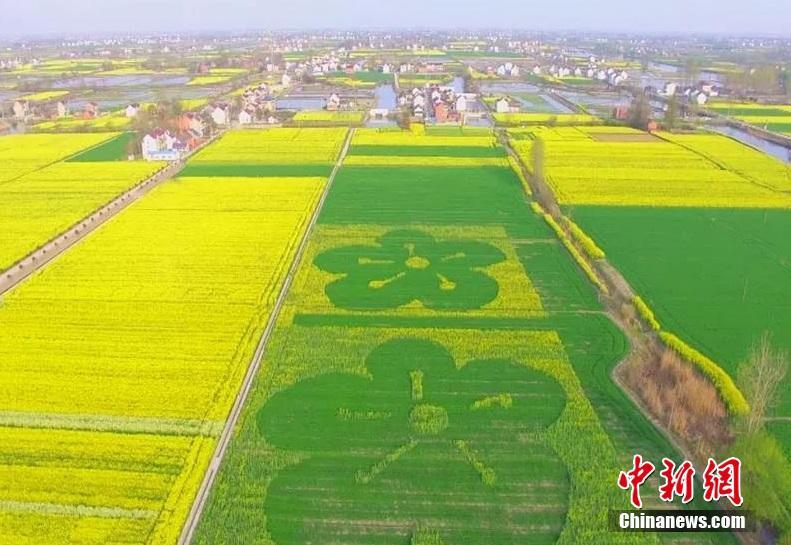 六部分：推进将热泵技能用于电动汽车智能热办理
