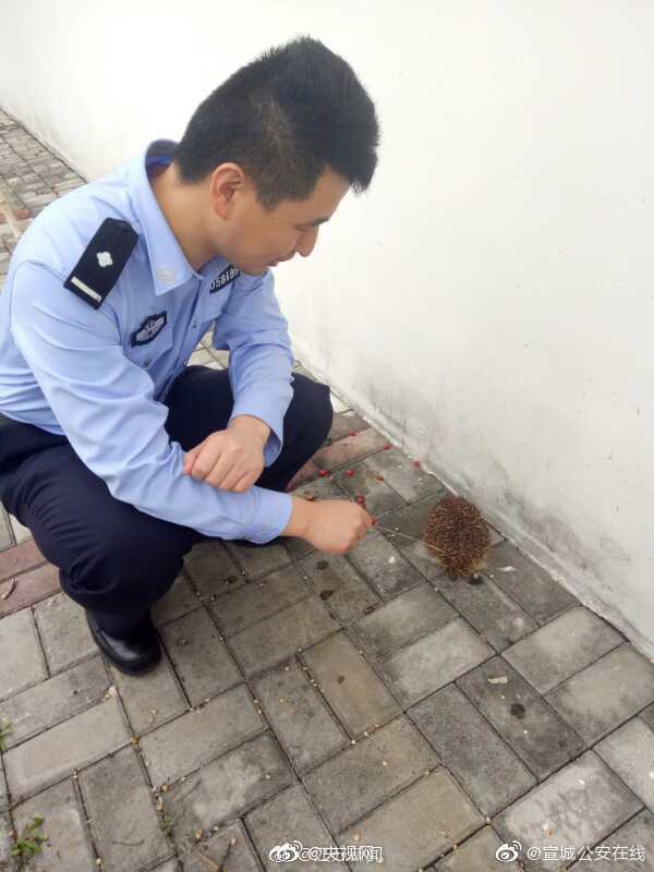【51黑网吃瓜免费】国际坝体最高抽水蓄能电站第一批机组并网发电