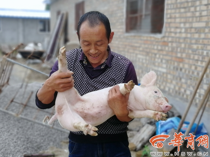 【怎么下载51吃瓜网页视频】罗湖加速以场景立异驱动科技立异 两标杆场景项目出炉