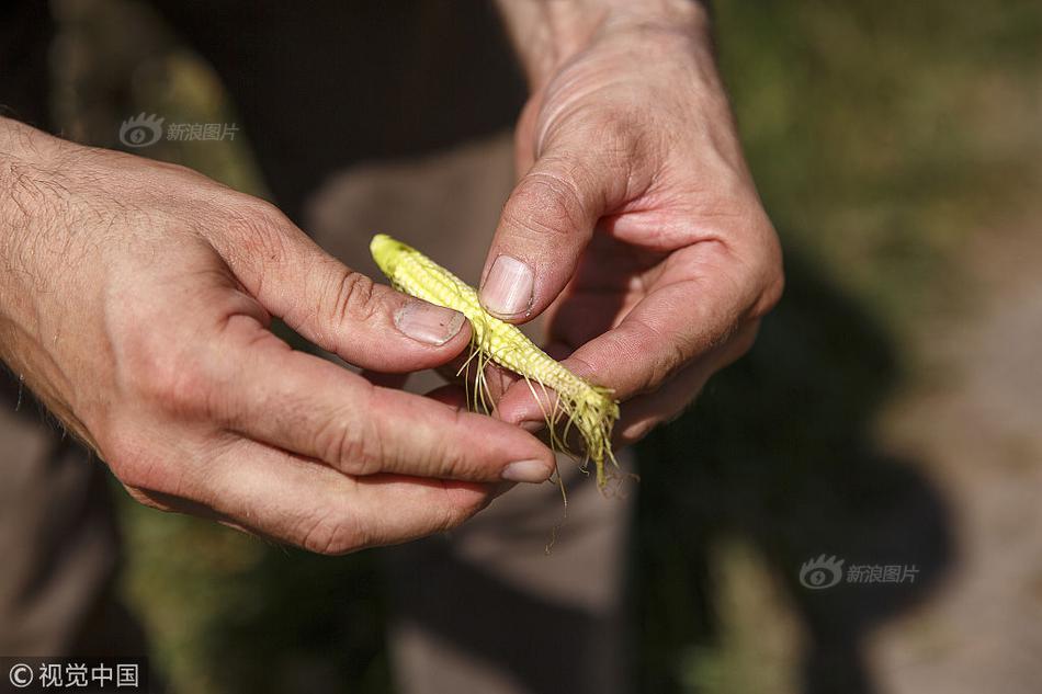 【51吃瓜黑料网】发芽的土豆可以吃吗有没有毒