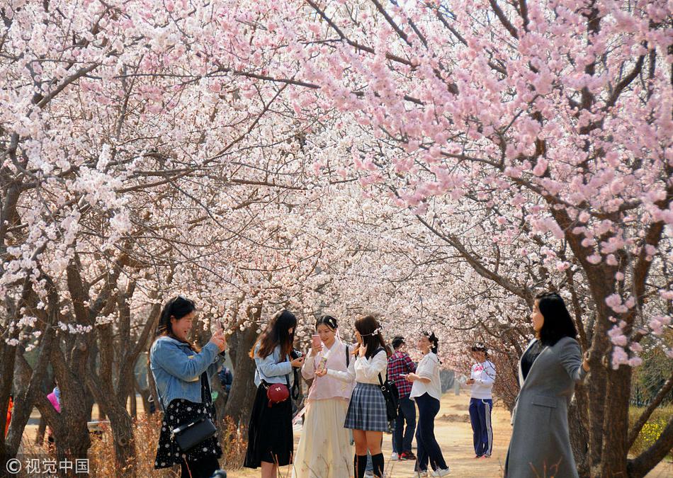 2025“幼升小”“小升初”招生入学有哪些利好？解读来了