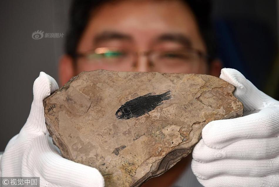 【黑料百科】汤姆猫：布局AI机器人 打造家庭AI Agent范畴先行者