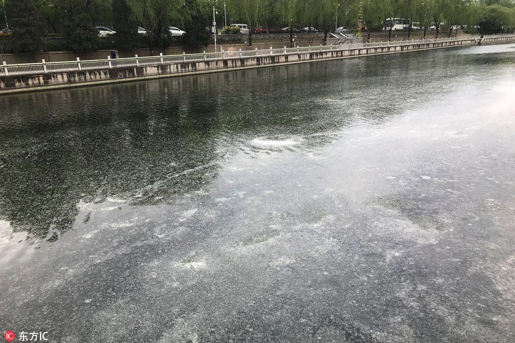 中青在线拟换发第七版新闻记者证人员名单公示