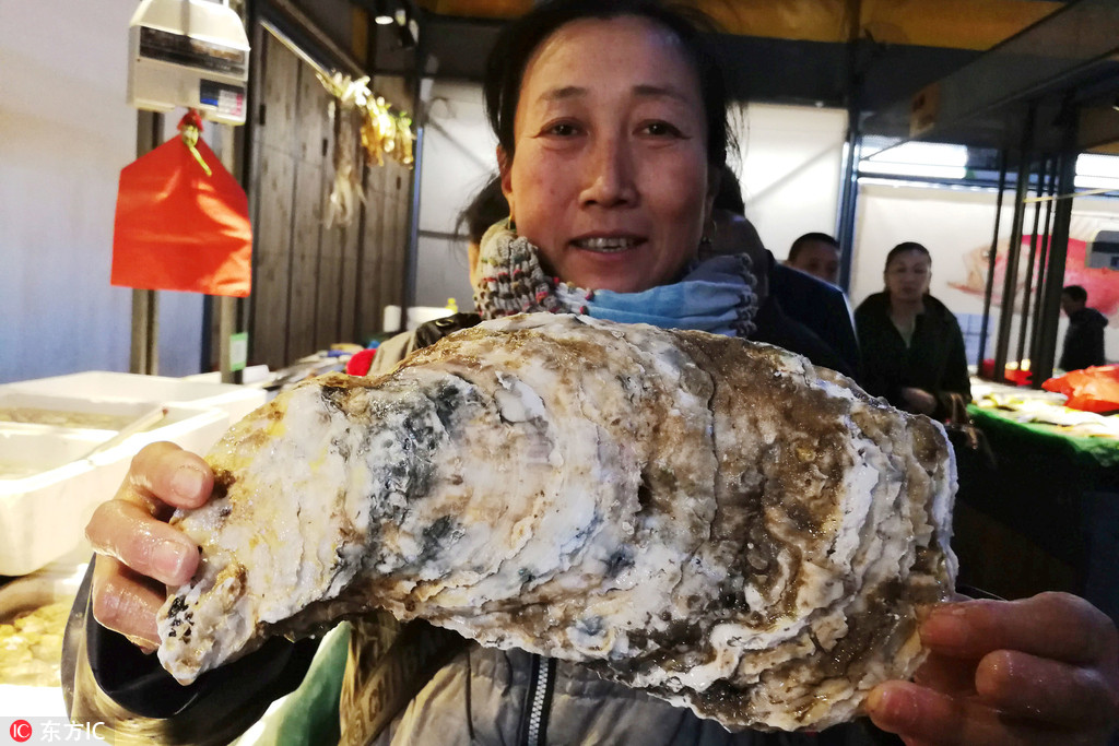 万千水花“泼”出文旅新生机